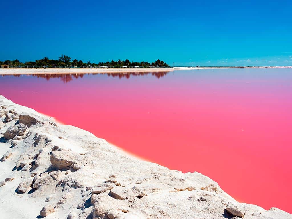 Pinkes Wasser in Las Coloradas